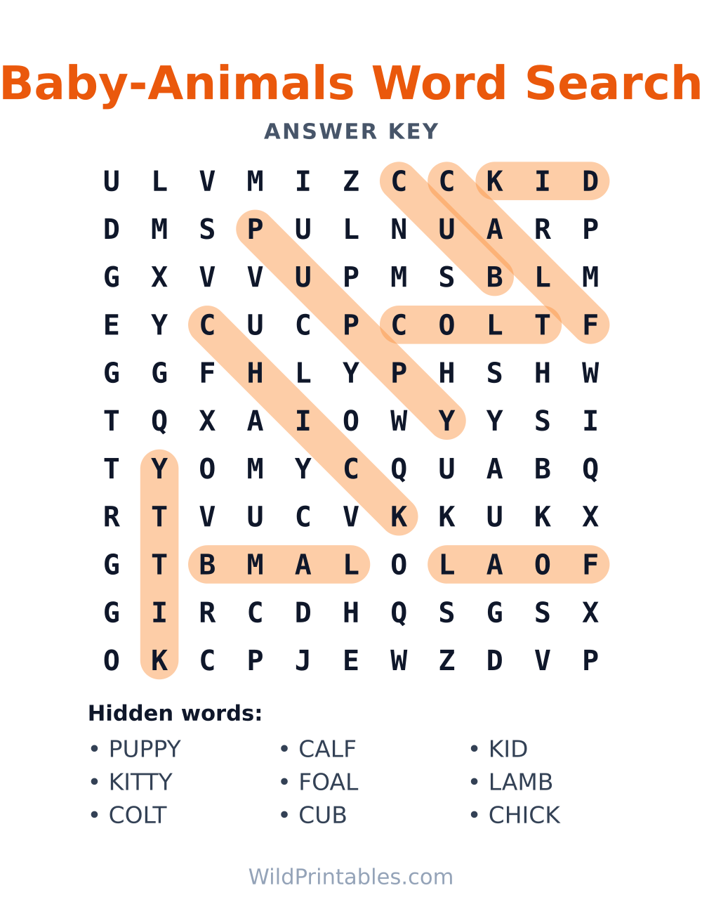 Baby-Animals Word Search — answer key