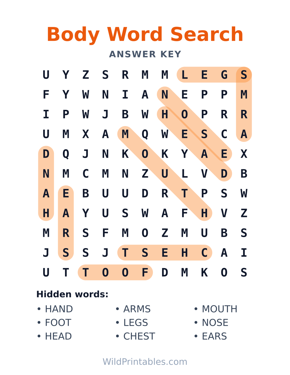 Body Word Search — answer key
