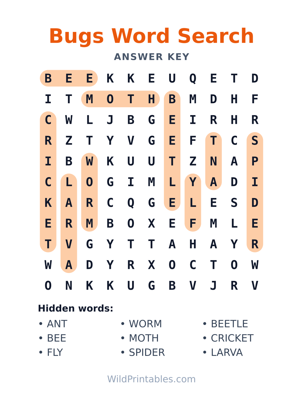 Bugs Word Search — answer key