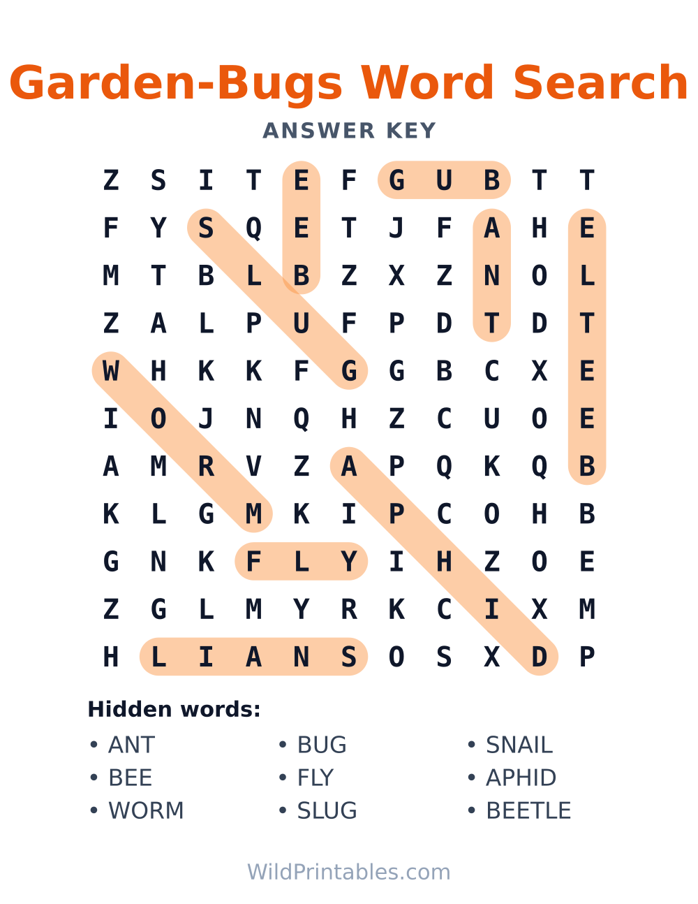 Garden-Bugs Word Search — answer key