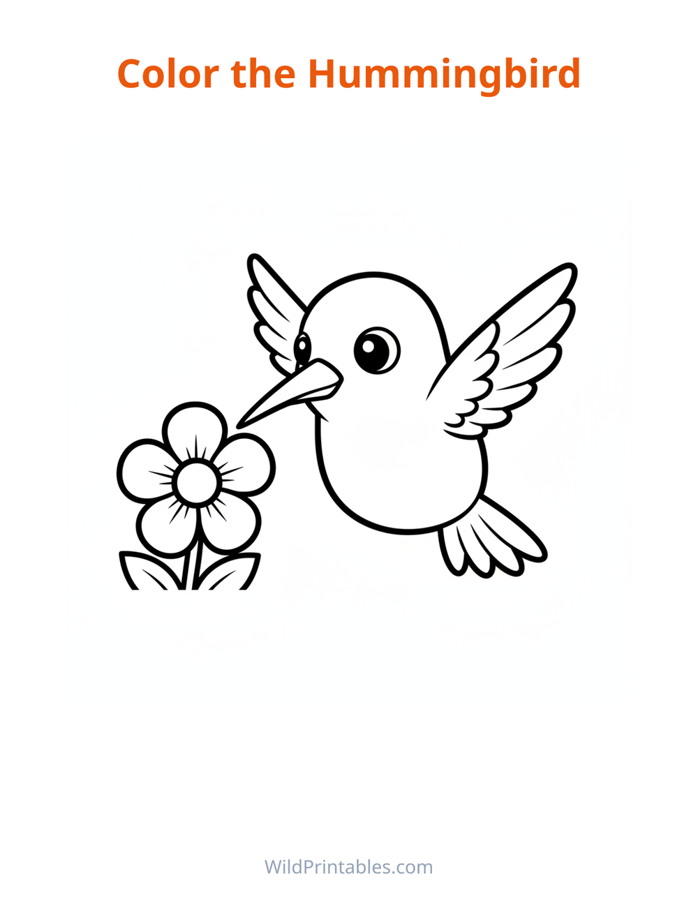Hummingbird Coloring Page — free printable coloring for kids