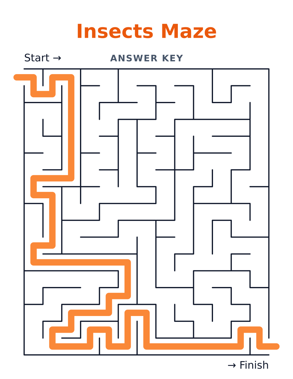 Insects Maze — answer key