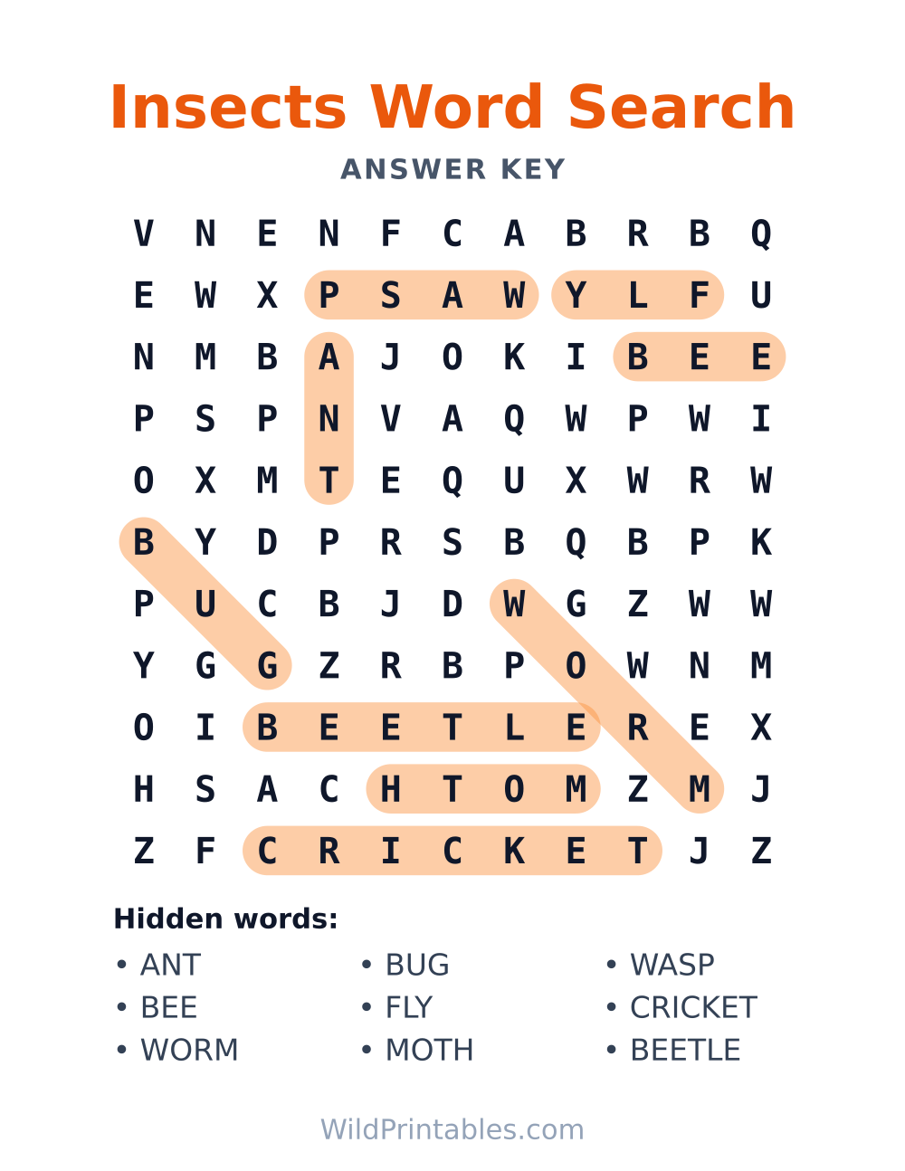 Insects Word Search — answer key