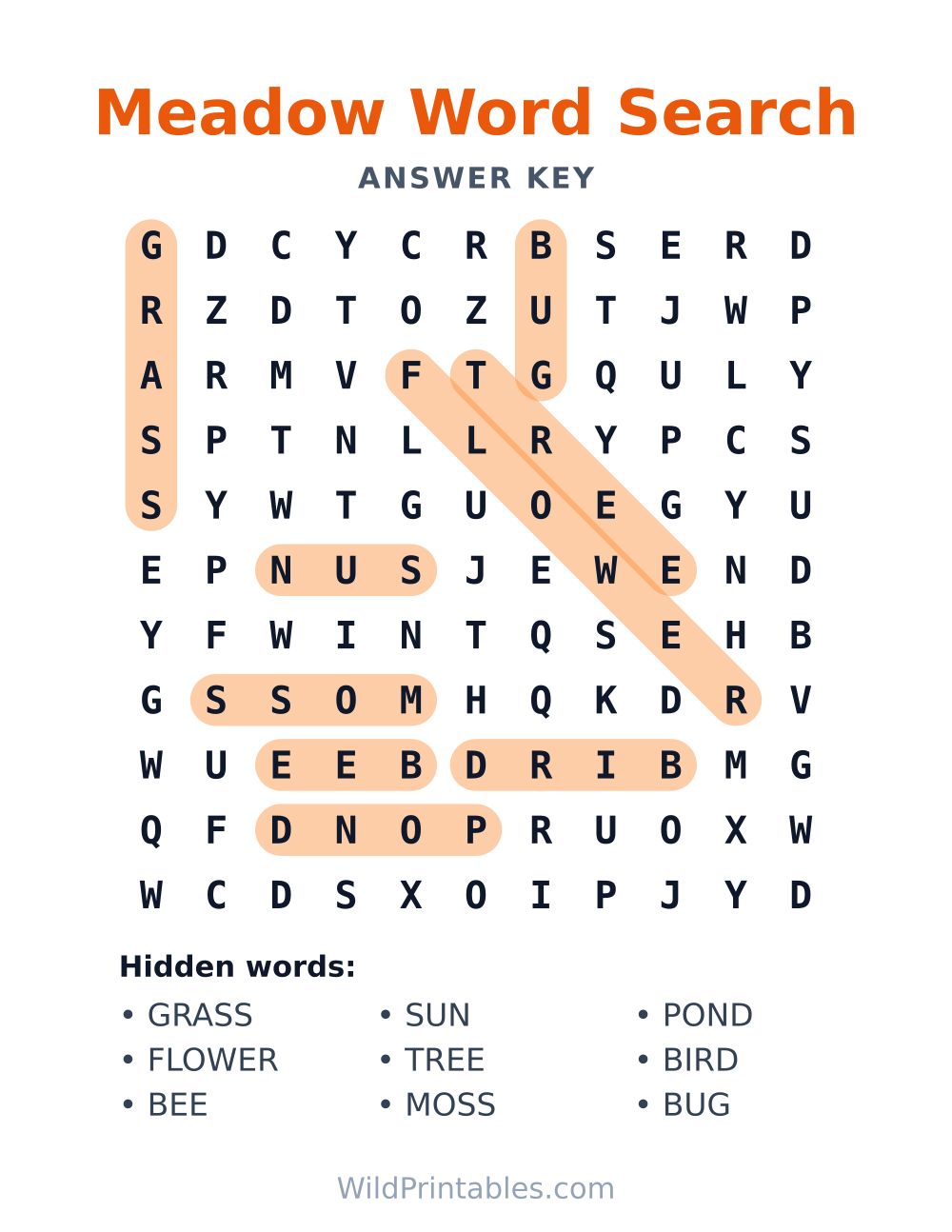 Meadow Word Search — answer key