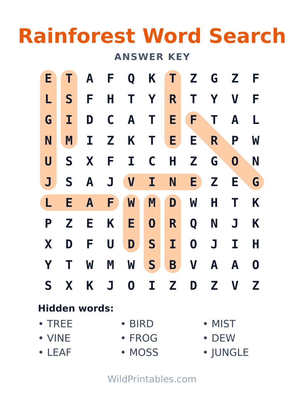 Rainforest Word Search — answer key