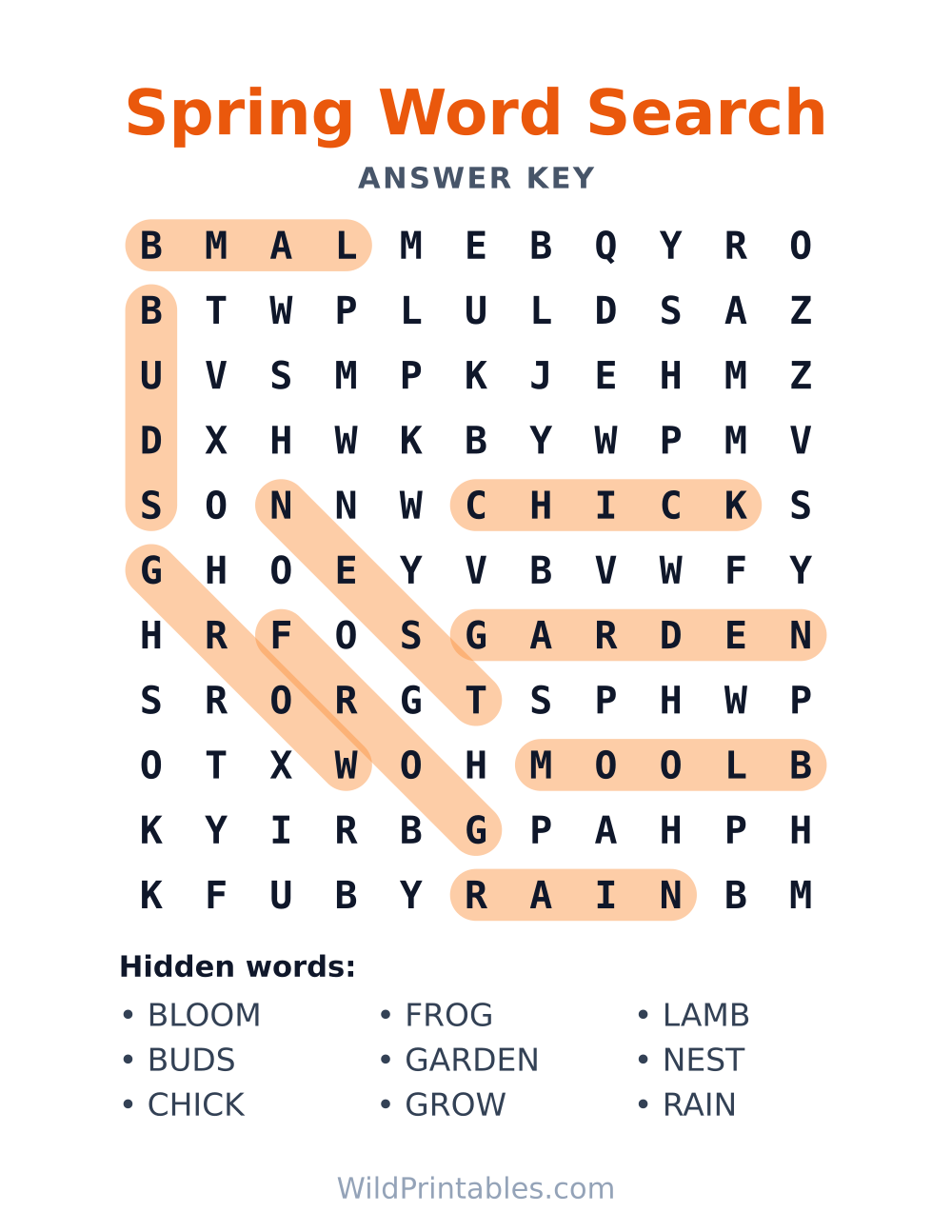 Spring Word Search — answer key