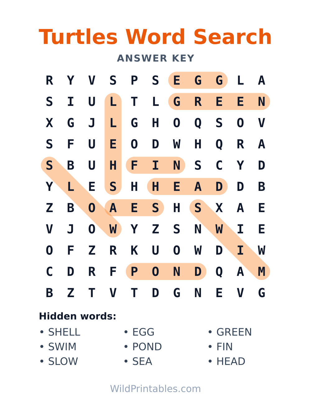 Turtles Word Search — answer key