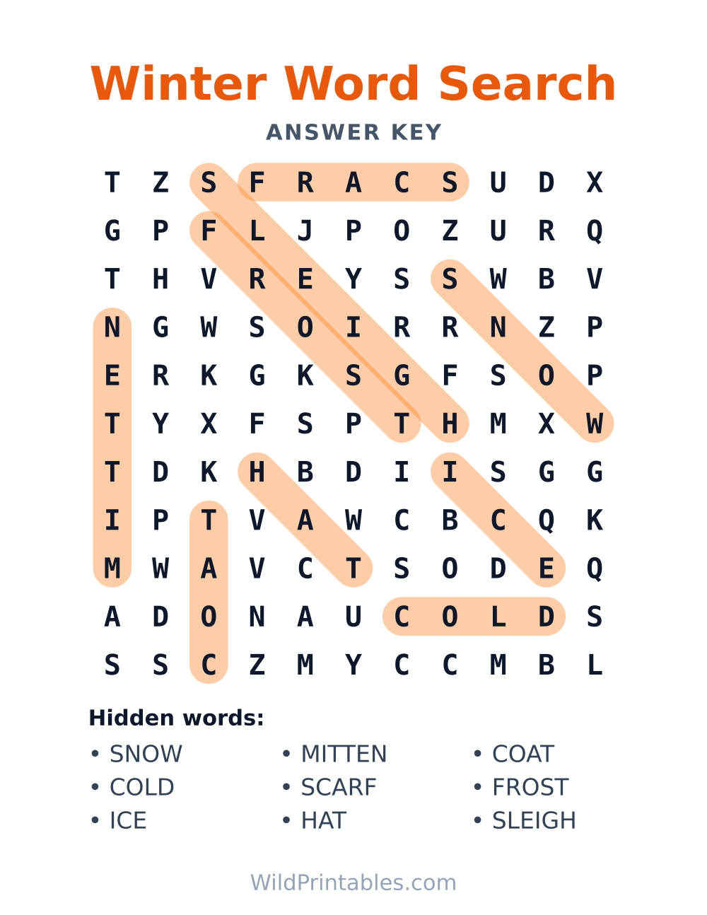Winter Word Search — answer key